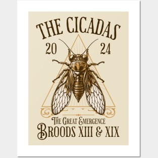Cicadas 2024 - Brood XIX Brood XIII - Funny Cicada Lover Posters and Art